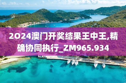 2O24澳门开奖结果王中王,精确协同执行_ZM965.934