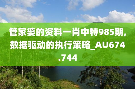 管家婆的资料一肖中特985期,数据驱动的执行策略_AU674.744