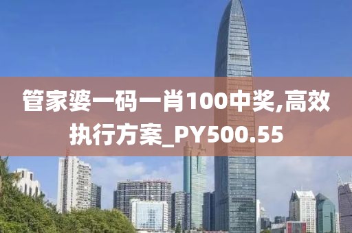 管家婆一码一肖100中奖,高效执行方案_PY500.55