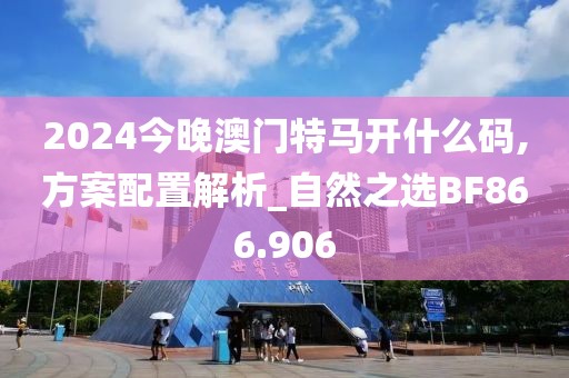 2024今晚澳门特马开什么码,方案配置解析_自然之选BF866.906