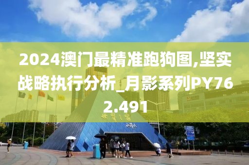 2024澳门最精准跑狗图,坚实战略执行分析_月影系列PY762.491