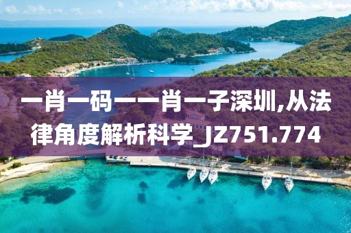 一肖一码一一肖一子深圳,从法律角度解析科学_JZ751.774
