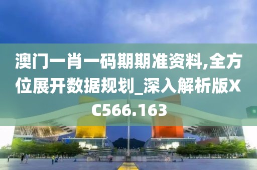 澳门一肖一码期期准资料,全方位展开数据规划_深入解析版XC566.163