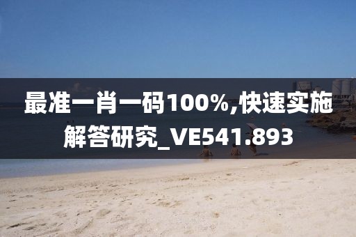 最准一肖一码100%,快速实施解答研究_VE541.893