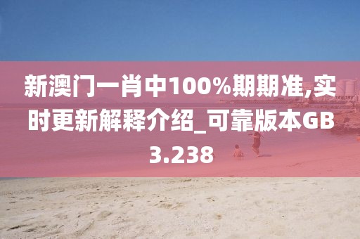 新澳门一肖中100%期期准,实时更新解释介绍_可靠版本GB3.238