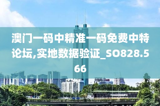 澳门一码中精准一码免费中特论坛,实地数据验证_SO828.566