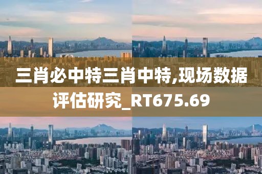 三肖必中特三肖中特,现场数据评估研究_RT675.69
