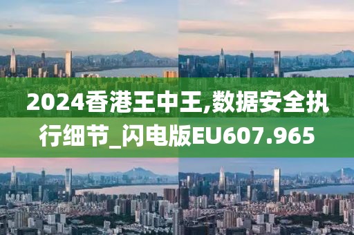 2024香港王中王,数据安全执行细节_闪电版EU607.965