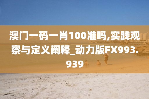 澳门一码一肖100准吗,实践观察与定义阐释_动力版FX993.939