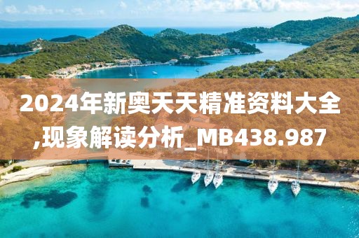 2024年新奥天天精准资料大全,现象解读分析_MB438.987