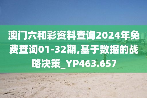 澳门六和彩资料查询2024年免费查询01-32期,基于数据的战略决策_YP463.657