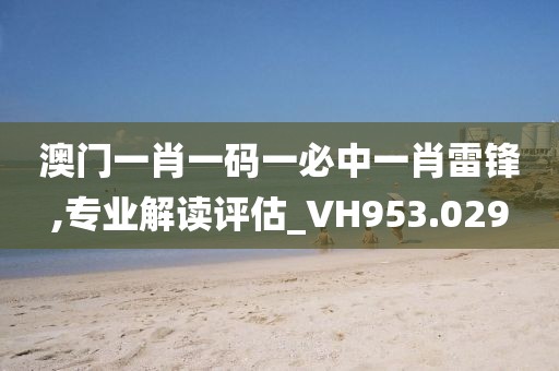 澳门一肖一码一必中一肖雷锋,专业解读评估_VH953.029