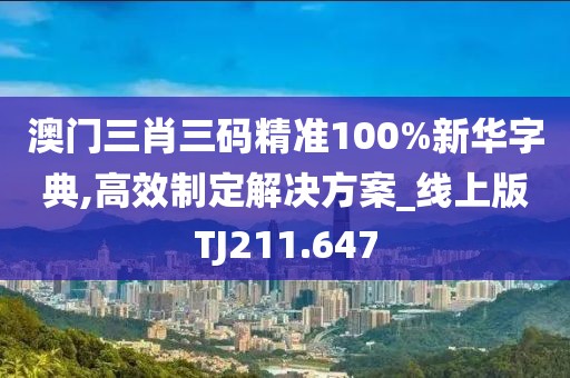 澳门三肖三码精准100%新华字典,高效制定解决方案_线上版TJ211.647