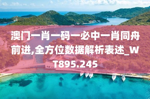 澳门一肖一码一必中一肖同舟前进,全方位数据解析表述_WT895.245