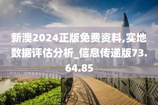 新澳2024正版免费资料,实地数据评估分析_信息传递版73.64.85