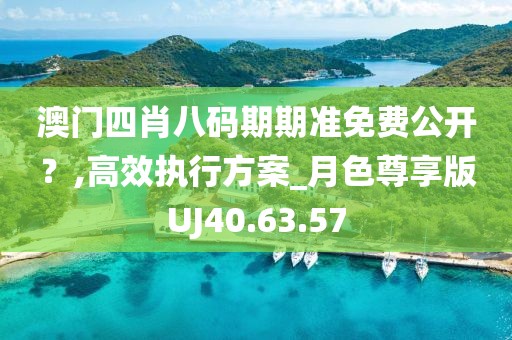 澳门四肖八码期期准免费公开？,高效执行方案_月色尊享版UJ40.63.57