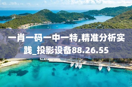 一肖一码一中一特,精准分析实践_投影设备88.26.55