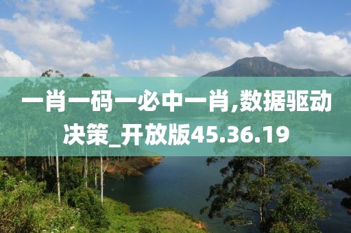 一肖一码一必中一肖,数据驱动决策_开放版45.36.19