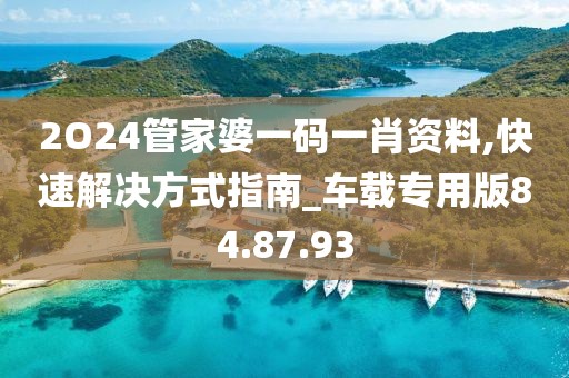 2O24管家婆一码一肖资料,快速解决方式指南_车载专用版84.87.93