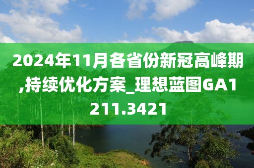 2024年11月各省份新冠高峰期,持续优化方案_理想蓝图GA1211.3421