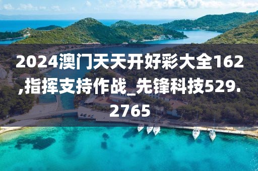 2024澳门天天开好彩大全162,指挥支持作战_先锋科技529.2765