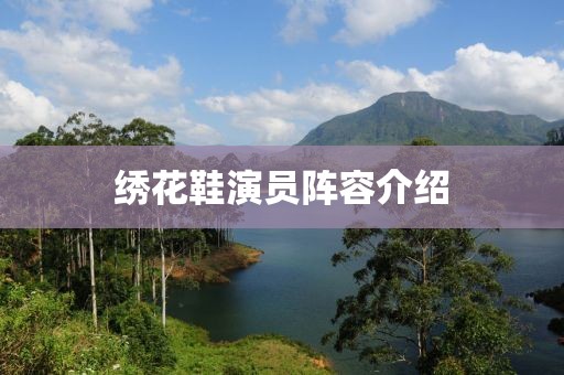 绣花鞋演员阵容介绍