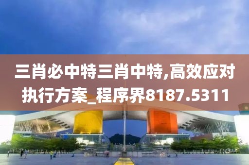 三肖必中特三肖中特,高效应对执行方案_程序界8187.5311