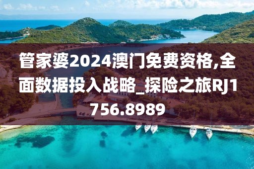 管家婆2024澳门免费资格,全面数据投入战略_探险之旅RJ1756.8989