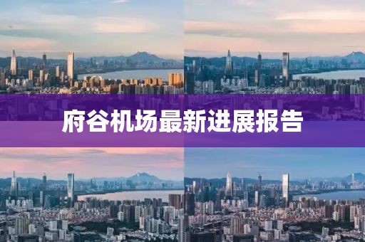 府谷机场最新进展报告