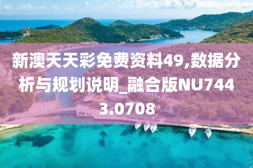 新澳天天彩免费资料49,数据分析与规划说明_融合版NU7443.0708
