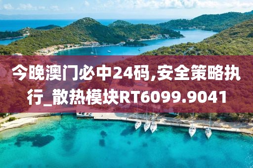 今晚澳门必中24码,安全策略执行_散热模块RT6099.9041