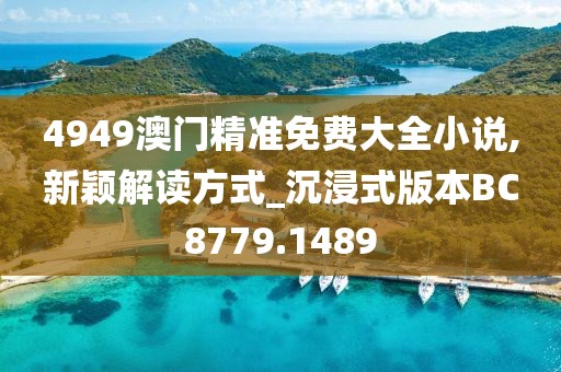 4949澳门精准免费大全小说,新颖解读方式_沉浸式版本BC8779.1489