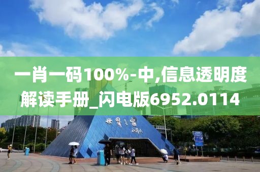 一肖一码100%-中,信息透明度解读手册_闪电版6952.0114