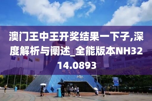 澳门王中王开奖结果一下子,深度解析与阐述_全能版本NH3214.0893