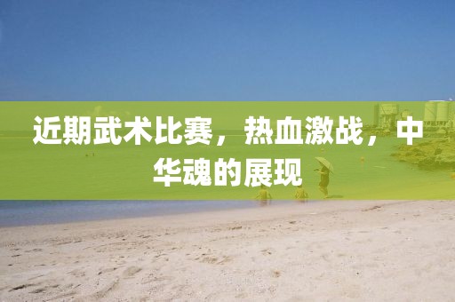 近期武术比赛，热血激战，中华魂的展现