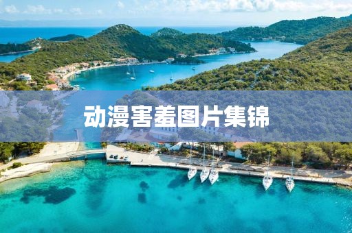 动漫害羞图片集锦