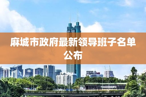 麻城市政府最新领导班子名单公布