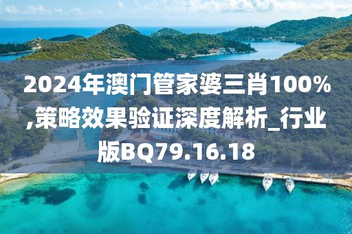 2024年澳门管家婆三肖100%,策略效果验证深度解析_行业版BQ79.16.18