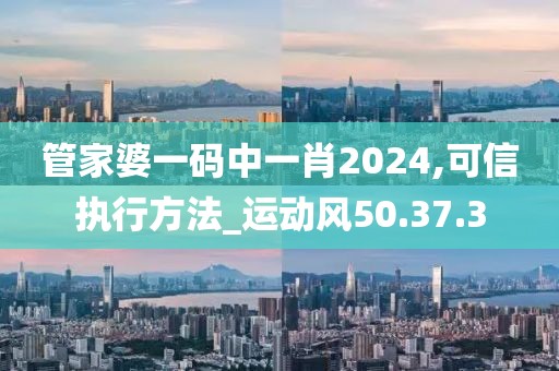 管家婆一码中一肖2024,可信执行方法_运动风50.37.3