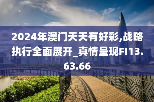 2024年澳门天天有好彩,战略执行全面展开_真情呈现FI13.63.66