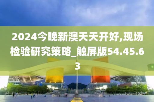 2024今晚新澳天天开好,现场检验研究策略_触屏版54.45.63