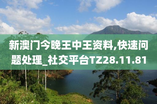 新澳门今晚王中王资料,快速问题处理_社交平台TZ28.11.81