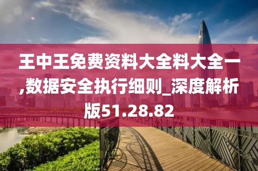 王中王免费资料大全料大全一,数据安全执行细则_深度解析版51.28.82