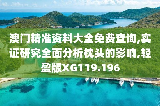 澳门精准资料大全免费查询,实证研究全面分析枕头的影响,轻盈版XG119.196