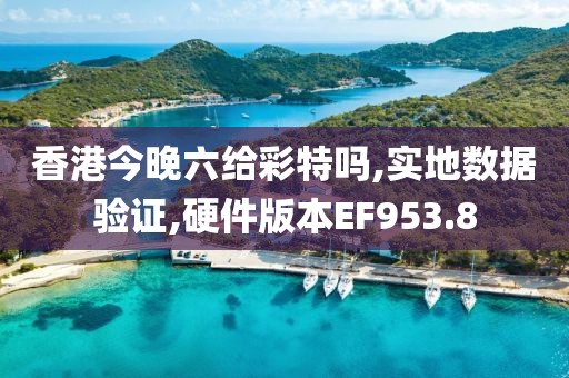 香港今晚六给彩特吗,实地数据验证,硬件版本EF953.8