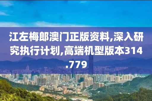 江左梅郎澳门正版资料,深入研究执行计划,高端机型版本314.779