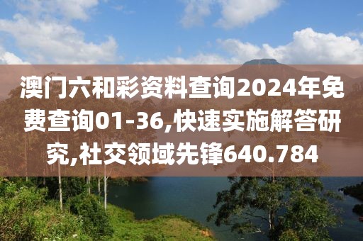 澳门六和彩资料查询2024年免费查询01-36,快速实施解答研究,社交领域先锋640.784