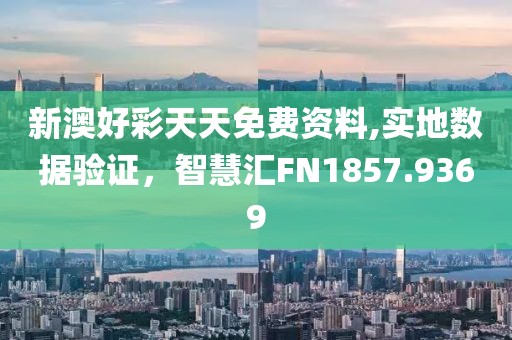 2024年12月 第599页