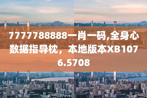 7777788888一肖一码,全身心数据指导枕，本地版本XB1076.5708