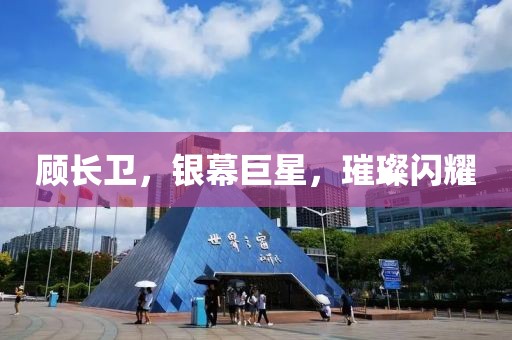 顾长卫，银幕巨星，璀璨闪耀